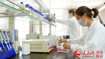 科技创新引领蓝色经济新未来——秦皇岛领先生物的技术开发之路